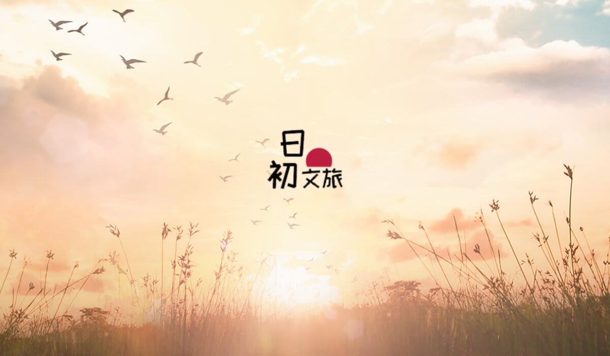 版型總攬圖D07